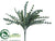 Ruffle Fern Bush - Green Gray - Pack of 12