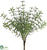 Rosemary Bush - Green - Pack of 12