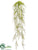 Silk Plants Direct Sprengeri Hanging Bush - Green - Pack of 4