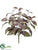 Sage Bush - Green Mauve - Pack of 12