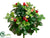 Strawberry Bush - Green - Pack of 12