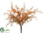 Sprengeri Bush - Rust Brown - Pack of 12