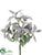 Sage Bush - Green Purple - Pack of 12