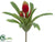 Tillandsia Bush - Red - Pack of 12