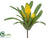 Tillandsia Bush - Yellow - Pack of 12