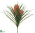 Tillandsia Bush - Red - Pack of 24