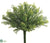 Tea Leaf Bush - Green Two Tone - Pack of 12