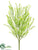 Thalassia Bush - Green - Pack of 36