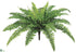 Silk Plants Direct Outdoor Boston Fern Bush - Green - Pack of 6