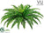 Outdoor Boston Fern Bush - Green - Pack of 6