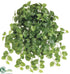 Silk Plants Direct Pothos Hanging Vine Plant - Green - Pack of 12