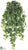 Ivy Hanging Plant - Green - Pack of 6