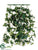 Ivy Wall Bush - Green - Pack of 6