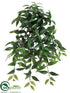 Silk Plants Direct Ruscus Hanging Bush - Green - Pack of 12