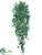 Sage Ivy Hanging Plant Bush - Green Two Tone - Pack of 6