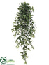 Silk Plants Direct Ruscus Hanging Bush - Green - Pack of 6