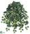 Cottonwood Hanging Bush - Green - Pack of 12