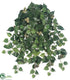 Silk Plants Direct Cottonwood Hanging Bush - Green - Pack of 12