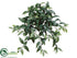 Silk Plants Direct Ruscus Hanging Bush - Green - Pack of 12