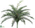 River Fern Bush - Green - Pack of 12