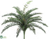 Silk Plants Direct River Fern Bush - Green - Pack of 12