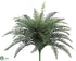 Silk Plants Direct River Fern Bush - Green - Pack of 6