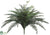 Large River Fern Bush - Green - Pack of 6