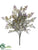 Frosted Dusty Miller Bush - Purple Green - Pack of 12