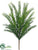 Irish Yew Bush - Green - Pack of 12