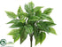 Silk Plants Direct Zebra Bush - Green Cream - Pack of 12