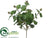 Eucalyptus Leaf Pick - Green - Pack of 12