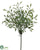 Thyme Bush - Green - Pack of 24