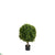 Outdoor Boxwood Ball - Green - Pack of 2