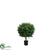 Outdoor Tea Leaf Topiary Ball - Green - Pack of 2