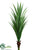 Dracaena Plant - Green - Pack of 4