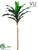 Outdoor Dracaena Plant - Green - Pack of 6