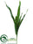 Mother-In-Law Tongue Plant - Green - Pack of 6