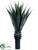 Sisal Plant - Green - Pack of 2