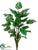 Pothos Plant Shrub - Green - Pack of 6