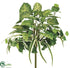 Silk Plants Direct Syngonium, Spider Plant, Philodendron Bush - Green - Pack of 6