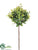 Cedar Gum Topiary - Green - Pack of 12