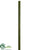 Bamboo Stick - Green - Pack of 6