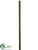 Bamboo Stick - Green - Pack of 6