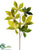 Buckeye Leaf Spray - Green Two Tone - Pack of 6