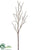 Bud Branch - Tan - Pack of 12