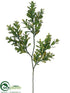 Silk Plants Direct Boxwood Spray - Green - Pack of 24