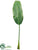 Banana Leaf Spray - Green - Pack of 6