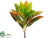 Croton Spray - Yellow Green - Pack of 12