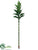 Dracaena Branch - Green - Pack of 12