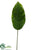 Dieffenbachia Spray - Green - Pack of 12